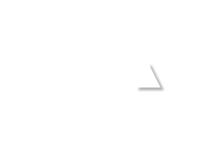 logo-bellereal
